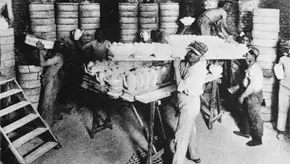 FROM PORCELAIN TO BUILDING INFRASTRUCTURES