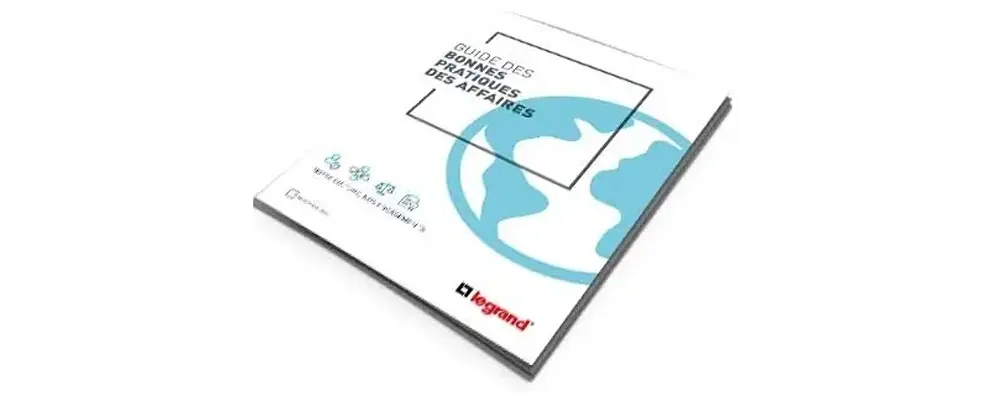 guide des bonnes pratiques des affaires