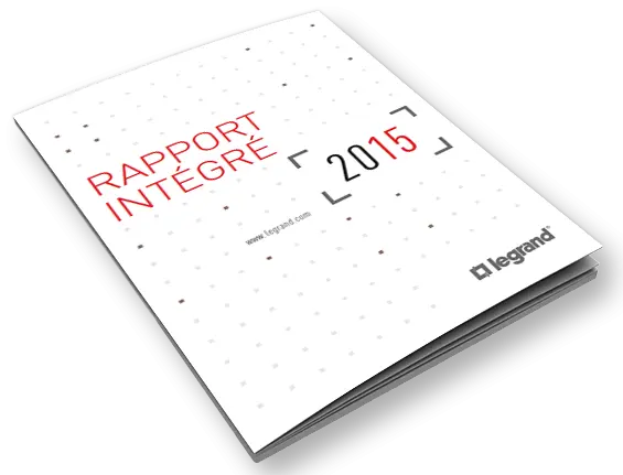 Rapport intégré 2015